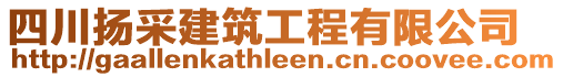 四川揚(yáng)采建筑工程有限公司