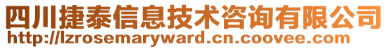 四川捷泰信息技術(shù)咨詢有限公司