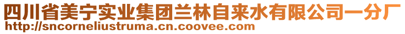 四川省美寧實業(yè)集團蘭林自來水有限公司一分廠