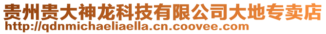 貴州貴大神龍科技有限公司大地專賣店