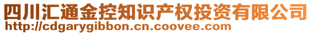 四川匯通金控知識產(chǎn)權投資有限公司