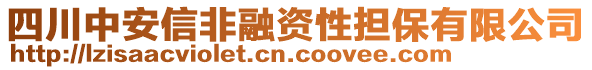 四川中安信非融資性擔(dān)保有限公司