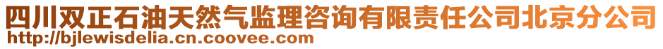 四川雙正石油天然氣監(jiān)理咨詢有限責(zé)任公司北京分公司