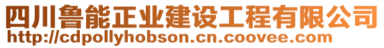 四川魯能正業(yè)建設(shè)工程有限公司