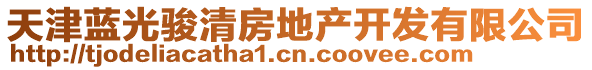 天津藍(lán)光駿清房地產(chǎn)開(kāi)發(fā)有限公司