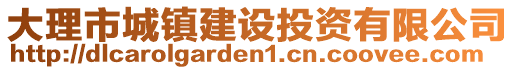 大理市城鎮(zhèn)建設投資有限公司