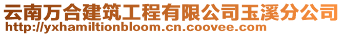 云南萬合建筑工程有限公司玉溪分公司