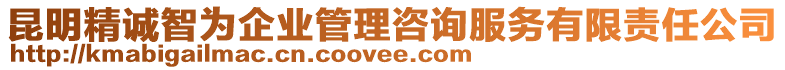 昆明精誠(chéng)智為企業(yè)管理咨詢服務(wù)有限責(zé)任公司