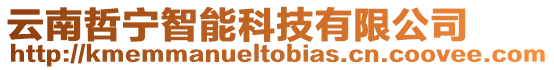 云南哲寧智能科技有限公司