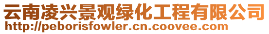 云南凌興景觀綠化工程有限公司