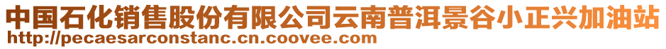 中國石化銷售股份有限公司云南普洱景谷小正興加油站