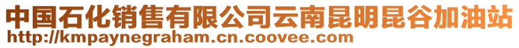 中國(guó)石化銷售有限公司云南昆明昆谷加油站