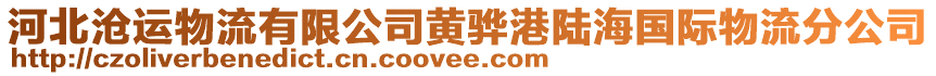 河北滄運物流有限公司黃驊港陸海國際物流分公司