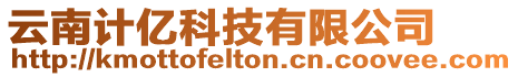 云南計億科技有限公司