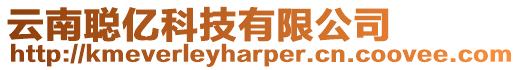 云南聰億科技有限公司