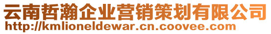 云南哲瀚企業(yè)營(yíng)銷(xiāo)策劃有限公司