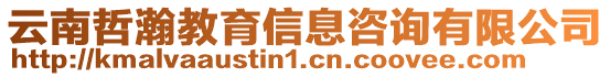 云南哲瀚教育信息咨詢有限公司