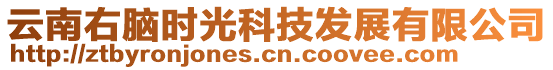 云南右腦時(shí)光科技發(fā)展有限公司