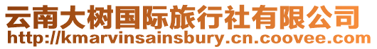 云南大樹國際旅行社有限公司