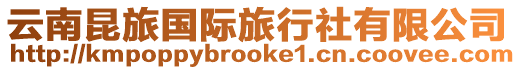 云南昆旅國際旅行社有限公司