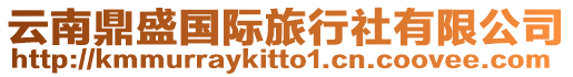 云南鼎盛國際旅行社有限公司