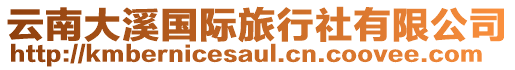 云南大溪國際旅行社有限公司