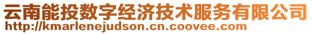 云南能投數(shù)字經(jīng)濟技術服務有限公司