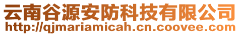 云南谷源安防科技有限公司