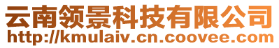 云南領(lǐng)景科技有限公司