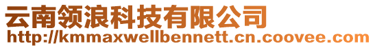 云南領(lǐng)浪科技有限公司