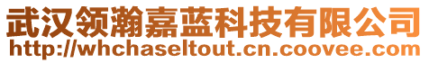 武漢領(lǐng)瀚嘉藍(lán)科技有限公司