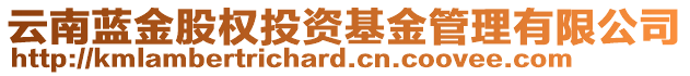 云南藍(lán)金股權(quán)投資基金管理有限公司