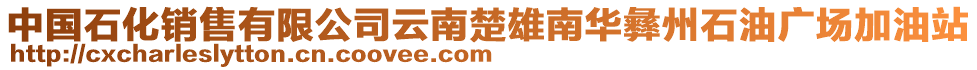 中國石化銷售有限公司云南楚雄南華彝州石油廣場加油站