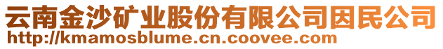 云南金沙礦業(yè)股份有限公司因民公司