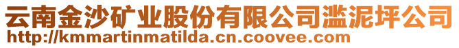 云南金沙礦業(yè)股份有限公司濫泥坪公司