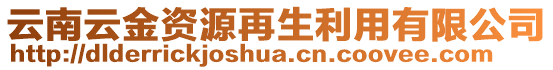 云南云金資源再生利用有限公司