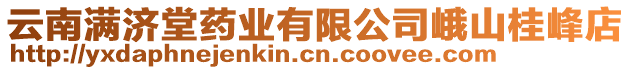 云南滿濟堂藥業(yè)有限公司峨山桂峰店