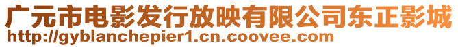 廣元市電影發(fā)行放映有限公司東正影城