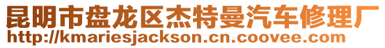 昆明市盤龍區(qū)杰特曼汽車修理廠