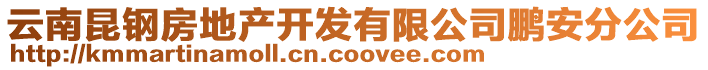 云南昆鋼房地產開發有限公司鵬安分公司