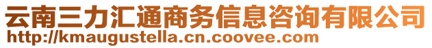 云南三力匯通商務(wù)信息咨詢有限公司