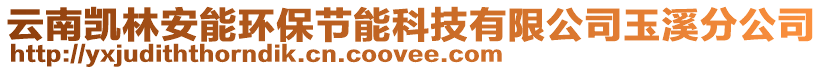 云南凱林安能環(huán)保節(jié)能科技有限公司玉溪分公司