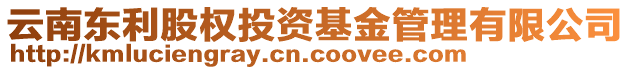 云南東利股權(quán)投資基金管理有限公司