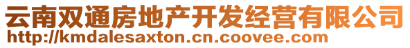 云南雙通房地產(chǎn)開(kāi)發(fā)經(jīng)營(yíng)有限公司