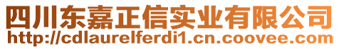 四川東嘉正信實業(yè)有限公司