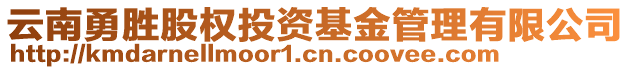 云南勇勝股權(quán)投資基金管理有限公司