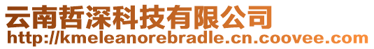 云南哲深科技有限公司