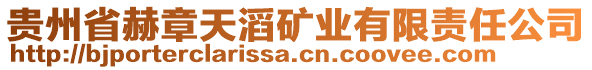 貴州省赫章天滔礦業(yè)有限責(zé)任公司