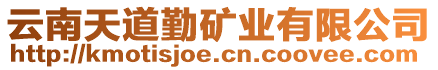 云南天道勤礦業(yè)有限公司