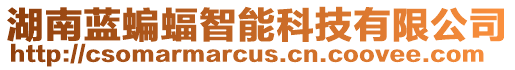 湖南藍(lán)蝙蝠智能科技有限公司